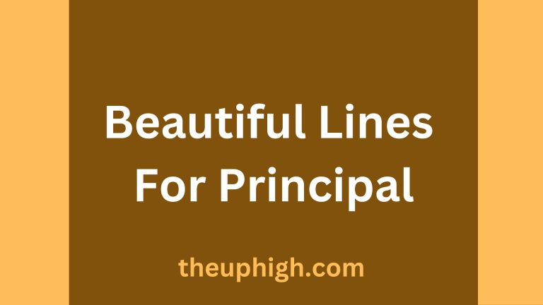 80 Words of Appreciation and Beautiful Lines For Principal for His Support