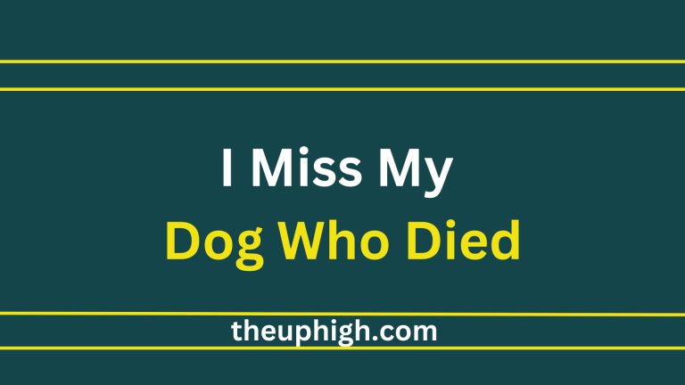 25 Goodbye Sayings and I Miss My Dog Who Died Quotes