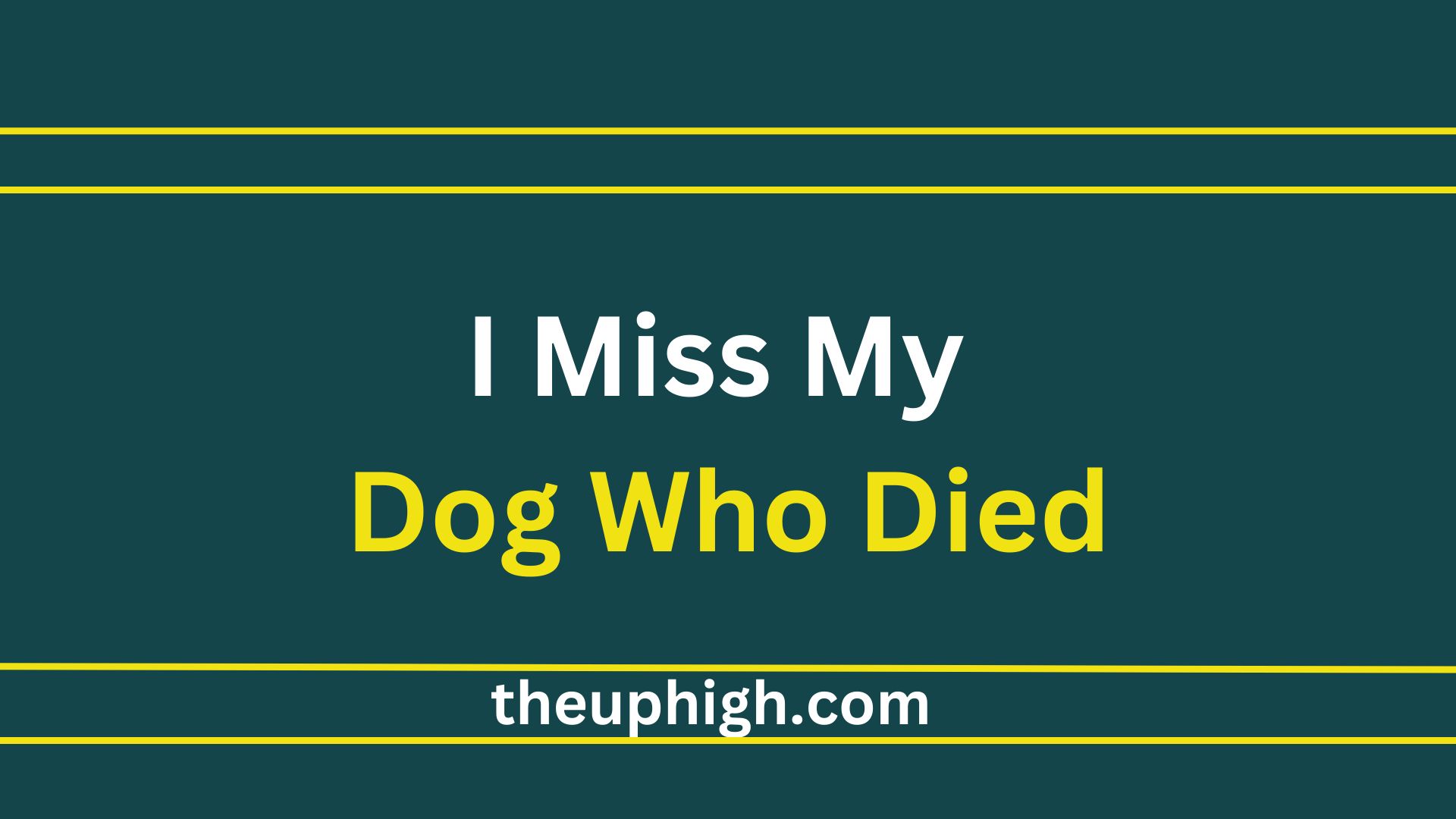I Miss My Dog Who Died