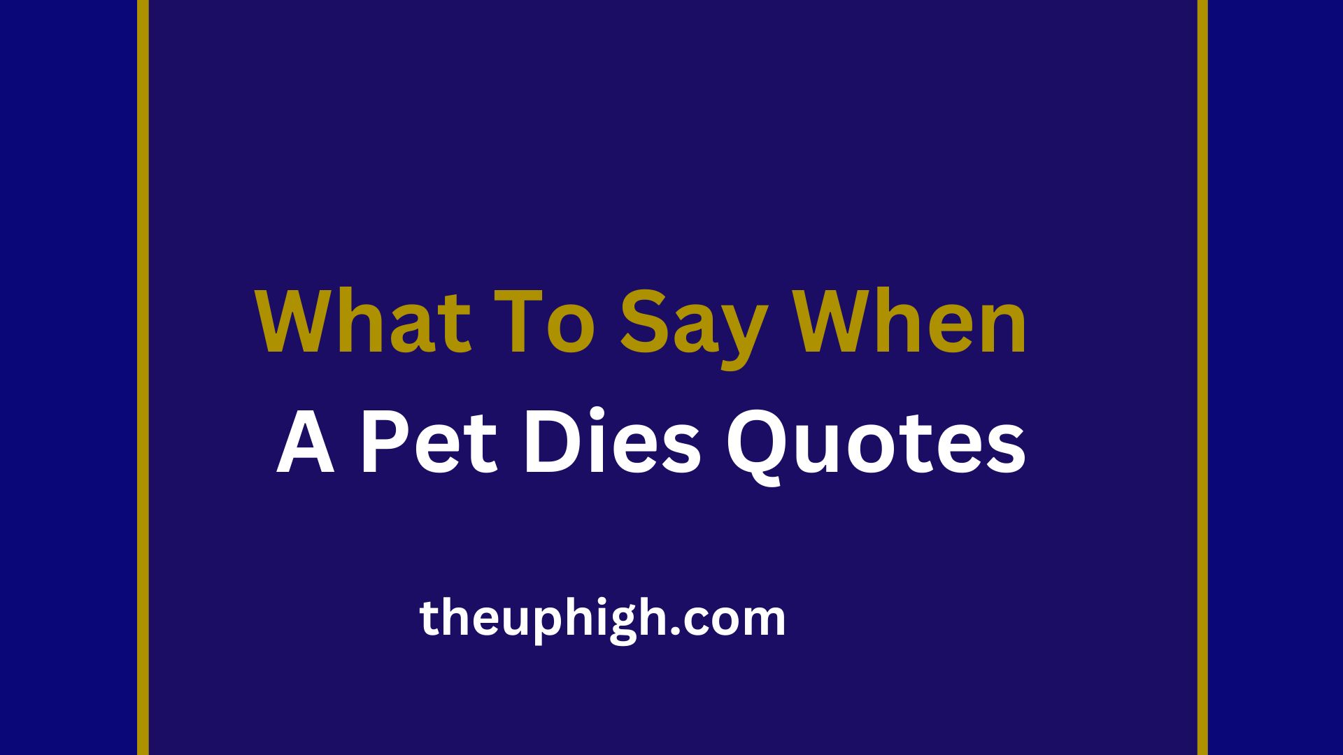 62 Comforting Words And What To Say When A Pet Dies Quotes